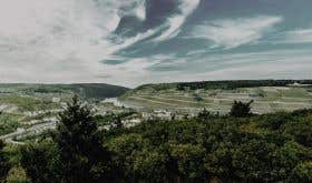 A panoramic shot of Weingut Riffel's Bingen vineyards in Germany
