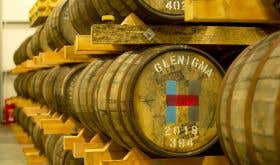 Glenigma whisky casks