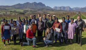 Old Vine Pruning Course