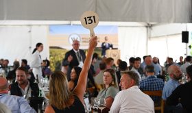 A bidder raises her paddle at the Willamette Valley Wine Auction; photo by Carolyn Wells-Kramer.