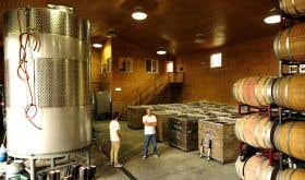 Tensley wines barrel room