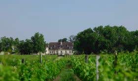 Bouscaut vineyard and chateau