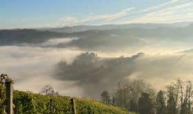 Morning fog in Montforte d'Alba