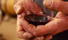 burgundy vigneron hands and glass by Jon Wyand