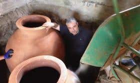 Burying qvevri in the Iberieli cellar