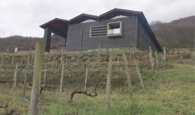 Dominio del Urogallo on Asturias hillside