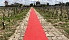 red carpet at Château Smith Haut Lafitte