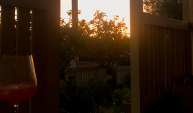 Wine in late Melbourne Spring colours  Photo Credit: Elise Penney 