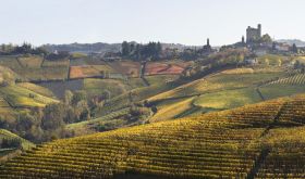 Castiglione Falletto © Vietti
