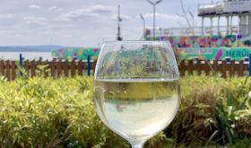 Fröccs at the Lake Balaton ferry terminal