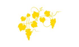 yellow grapevine on a white background. Image by diane555 via iStock.