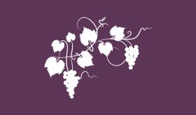 white grapevine on a purple background. Image by diane555 via iStock.