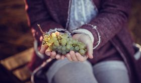 A person holding a bunch of grapes. Natalia Suta