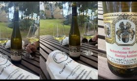 Illa Kim WWC25 Photo