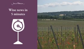 Chapel Down's new vineyard June 2025 and Wine news in 5 logo