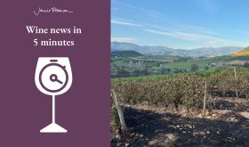 Corsica vineyard burned by wildfirs Aug 2025 and JR -wine-news-5-min-logo