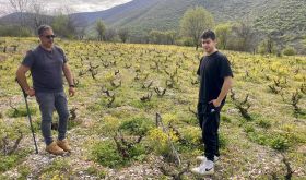Dimitris Diamantis, left, and son in an old-vine Xinomavro plot, Siatista, Greece. Pic credit: Andrew Neather
