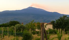 Etna volcano smoking against pink sky by Tone Veseth Furuholmen MW