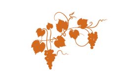 dark orange grapevine on a white background