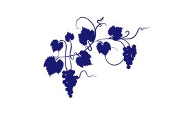 dark blue grapes on a white background. Image by diane555 via iStock.