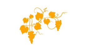 Light orange grapevine on a white background. Image by diane555 via iStock.