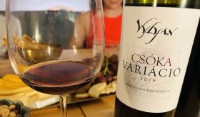 Maria Pozzo-Tonkova WWC25 Image