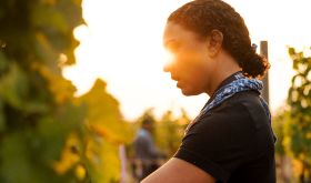 photo of Sierra Newell picking Blaufränkisch at sunrise. credit: Manu Grafenauer