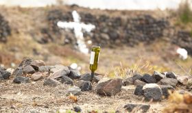 Santorini vineyard with wine bottle via Yiannis Karakasis MW