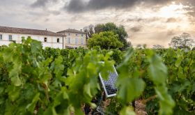 Ch Lafleur and vineyard panel