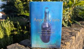 Angel's Visits by David Darlington book cover