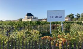Château Brane-Cantenac and vineyards