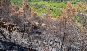 Corbières fires taken by Louise Hurren