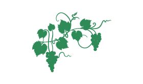 Green grapevine. Image by diane555 via iStock.