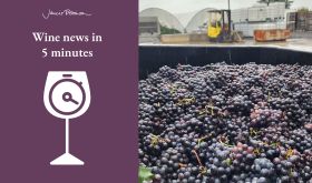 Pinot Noir harvest at 21 Brix courtesy Brian Barmore and jr-wine-news-5-min-logo