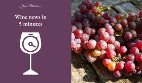 a bunch of Chardonnay Rose from Sylvain Pataille's Marsannay vineyard, courtesy Wasserman selections, and the wine news in 5 logo.