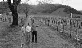 Dennis and Elizabeth Groth and first winemaker Nils Venge in 1984 