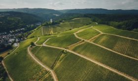 Gräfenberg vineyard in Kiedrich in Rheingau