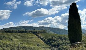 Lamole from a distance