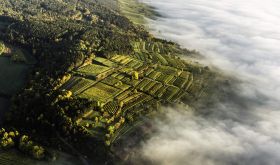 Ried Berg Traisental