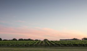 Wolffer Estate at dusk