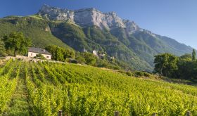  Domaine Saint-Germain vineyard in St-Pierre d’Albigny
