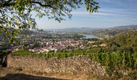 Ampuis viewed from Condrieu © Bernard Favre