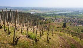 River Rhône viewed from Cornas vineyards © Bernard Favre