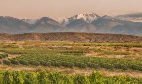 Finca las Cerrilladas