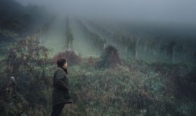 Gerhard Wohlmuth looking up at the Edelschuh vineyard