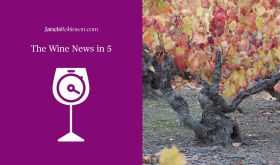 Wine-news-5-min logo and a photo of an old vine in autumn