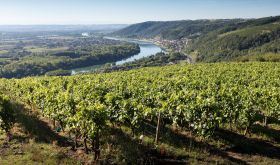 St-Joseph view © Bernard Favre