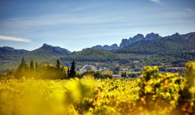 Gigondas vineyards from Santa Duc winery