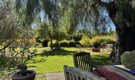 Sunny garden at Blue Farm