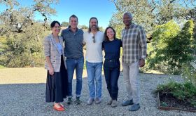 The Overshine Collective